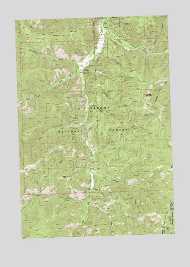 Alta, MT USGS Topographic Map