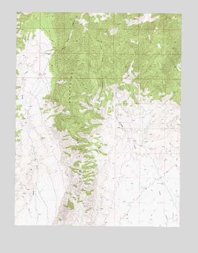 Camp Creek Canyon, NV USGS Topographic Map