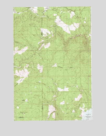 Aldermand Ridge, ID USGS Topographic Map