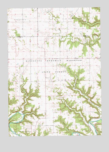Arendahl, MN USGS Topographic Map