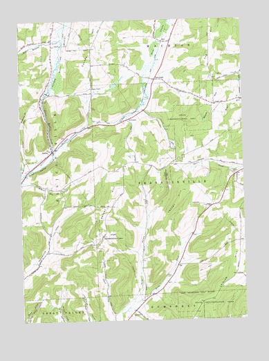 Ashford, NY USGS Topographic Map