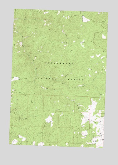 Bald Top Mountain, MT USGS Topographic Map