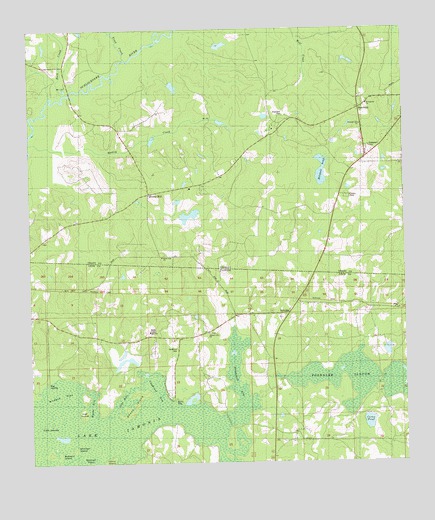 Beachton, GA USGS Topographic Map