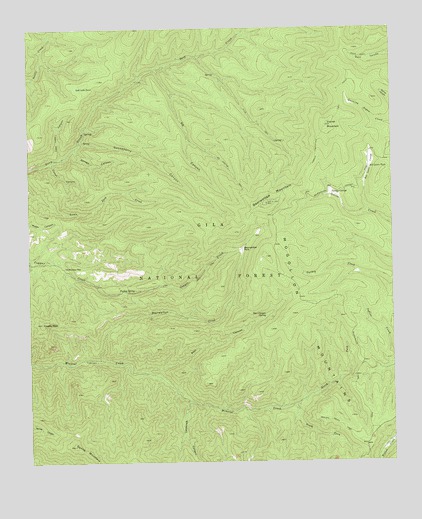 Bearwallow Mountain, NM USGS Topographic Map