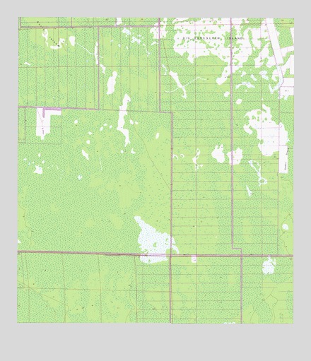 Belle Meade NE, FL USGS Topographic Map