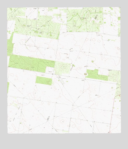 Bentsen Ranch, TX USGS Topographic Map