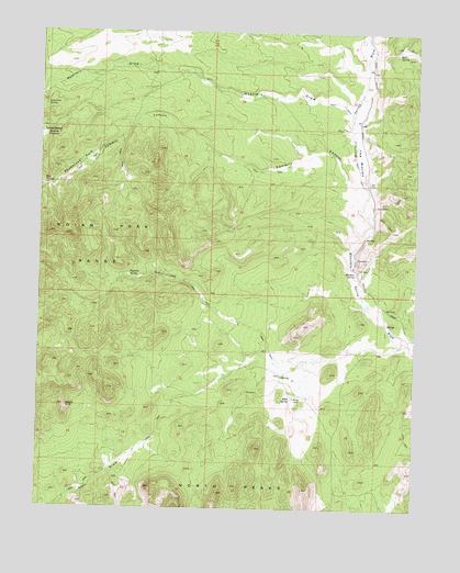 Bible Spring, UT USGS Topographic Map