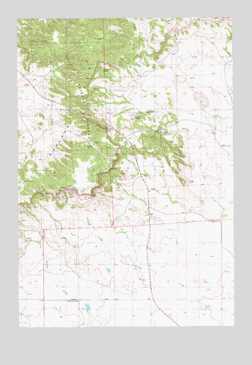 Camp Needmore, MT USGS Topographic Map
