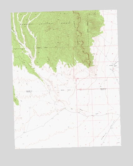 Big Springs, NV USGS Topographic Map