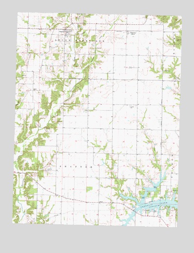Bingham, IL USGS Topographic Map