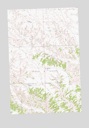 Blizzard Reservoir, MT USGS Topographic Map