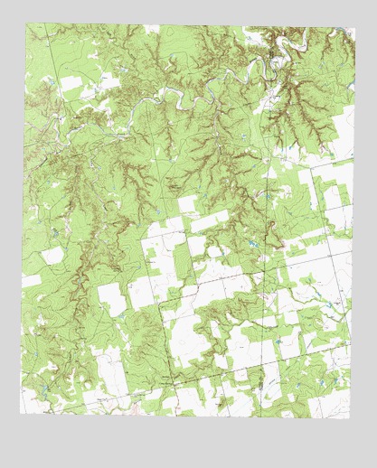 Camp Springs, TX USGS Topographic Map