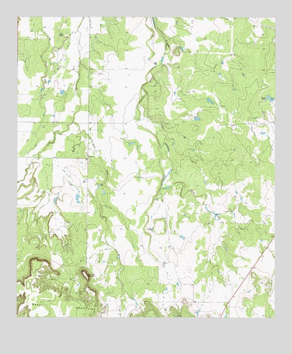 Bluff Creek, TX USGS Topographic Map