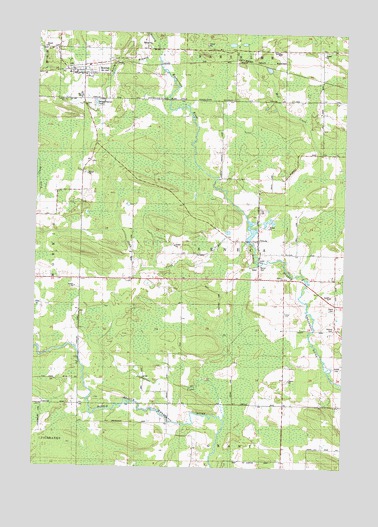 Bowler, WI USGS Topographic Map