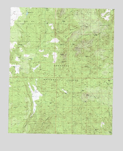 Camp Wood, AZ USGS Topographic Map