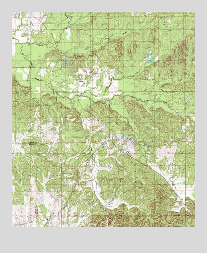 Braggs, AL USGS Topographic Map