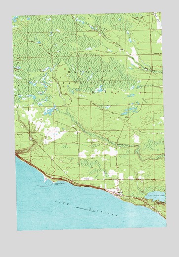 Brevort, MI USGS Topographic Map