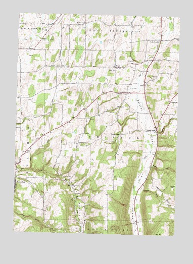 Bristol Center, NY USGS Topographic Map
