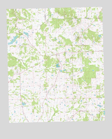 Brownsville, MS USGS Topographic Map