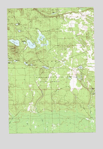 Buckeye Lake, MI USGS Topographic Map