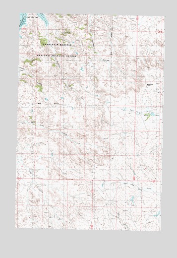 Buffalo Hill, MT USGS Topographic Map