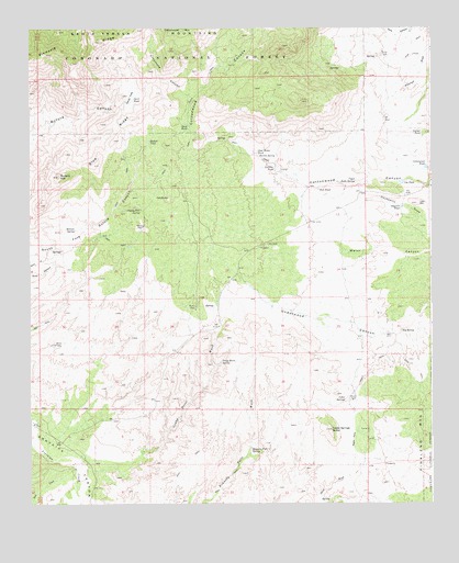 Buford Hill, AZ USGS Topographic Map