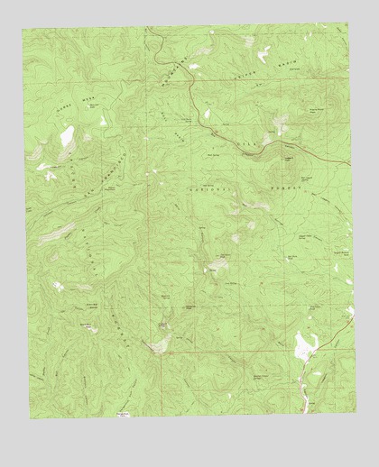 Bull Basin, NM USGS Topographic Map