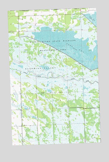 Caribou NE, MN USGS Topographic Map