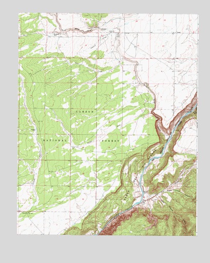 Carson, NM USGS Topographic Map