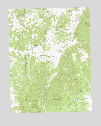 Cattle Camp Spring, NV USGS Topographic Map