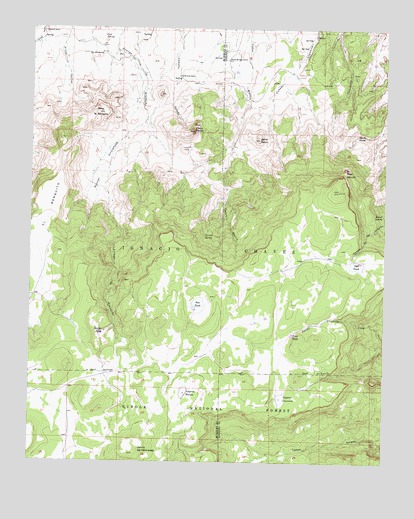 Cerro Parido, NM USGS Topographic Map