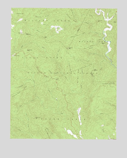 Chestnut Mountain, NC USGS Topographic Map