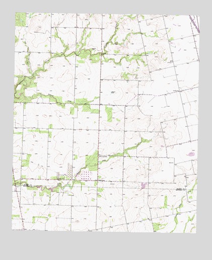 China Grove, TX USGS Topographic Map