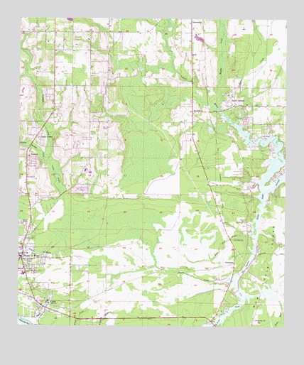 Coden, AL USGS Topographic Map