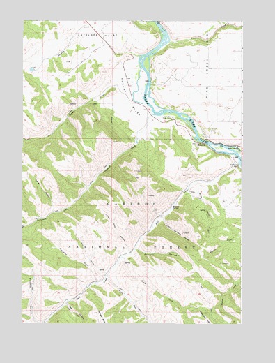 Conant Valley, ID USGS Topographic Map