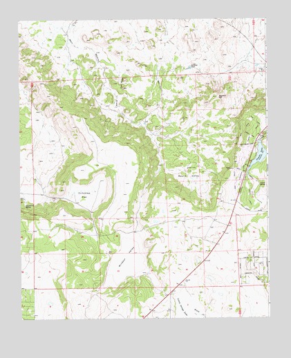 Concho Lake, AZ USGS Topographic Map