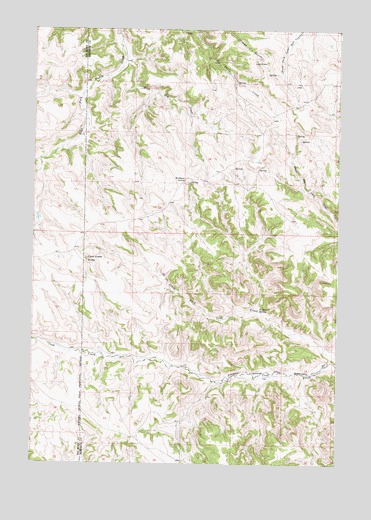 Cook Creek Butte, MT USGS Topographic Map