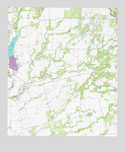 Crews, TX USGS Topographic Map