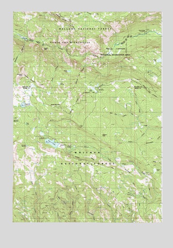 Deadman Point, OR USGS Topographic Map