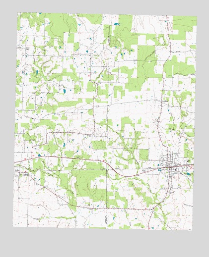 Detroit, TX USGS Topographic Map