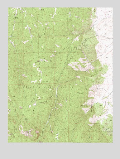 Devils Head, CO USGS Topographic Map