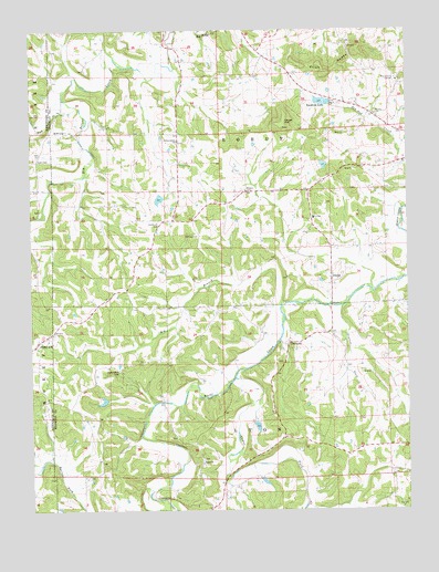 Dissen, MO USGS Topographic Map