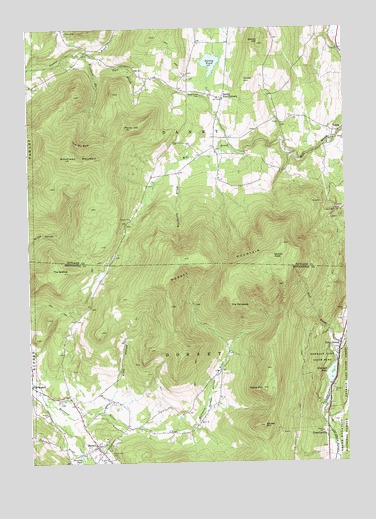 Dorset, VT USGS Topographic Map