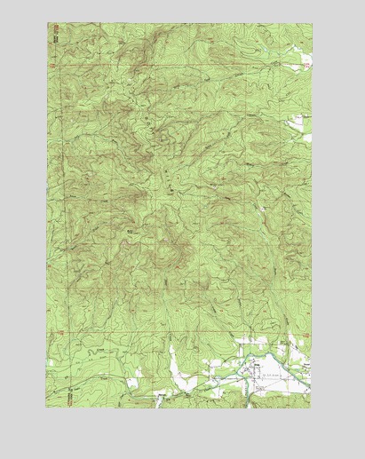 Doty, WA USGS Topographic Map