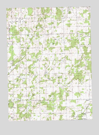 Dowling, MI USGS Topographic Map