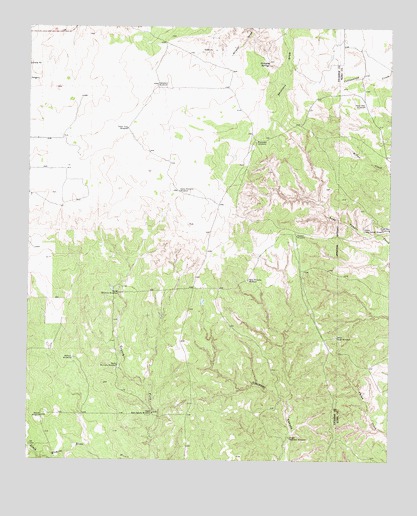 East Afton NE, TX USGS Topographic Map