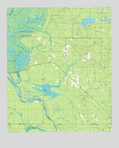 Felsenthal Dam, AR USGS Topographic Map