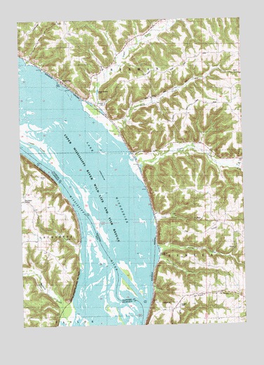 Ferryville, WI USGS Topographic Map