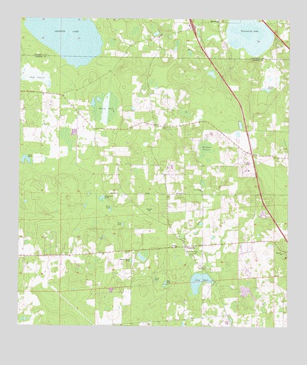 Flemington, FL USGS Topographic Map