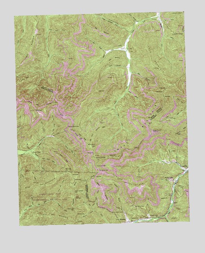 Fork Mountain, TN USGS Topographic Map